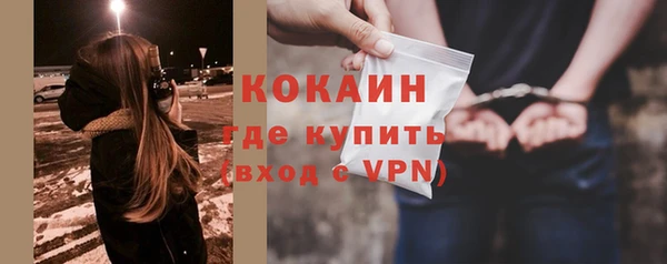 МДПВ Бородино