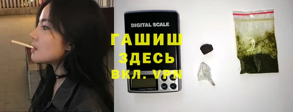 МДПВ Бородино