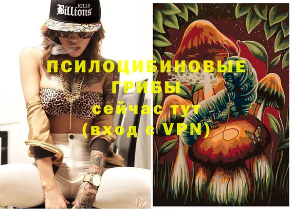прущий лед Богородицк
