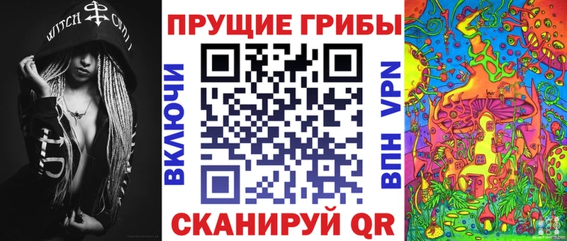 Галлюциногенные грибы Psilocybe  наркотики  shop какой сайт  Можайск 